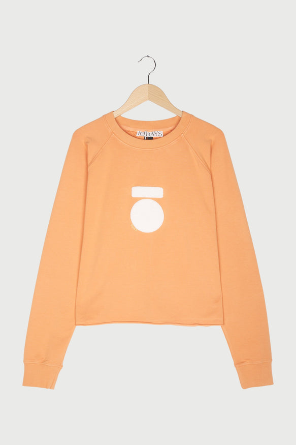 cropped icon sweater